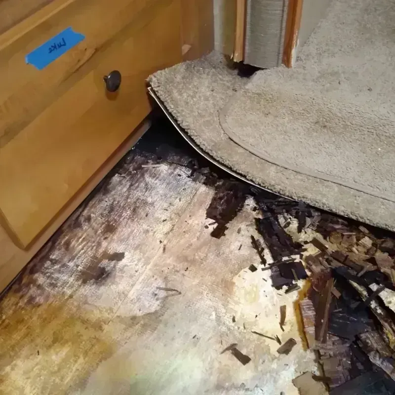 Best Wood Floor Water Damage Service in Indian Shores, FL